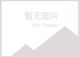 白银平川淡忘工程有限公司